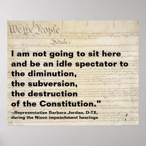 Subversion and Destruction of Constitution Protest Poster