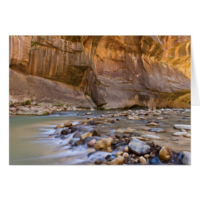 Subway in Zion Utah Cards (Front Horizontal)