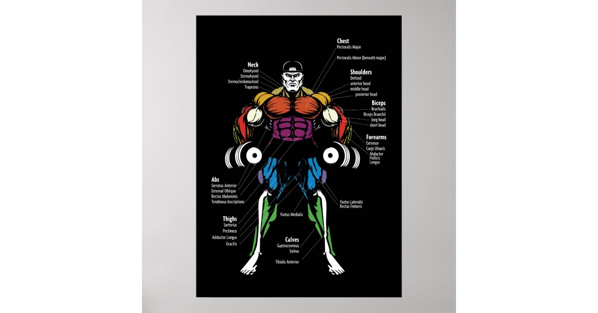 Success and Gym Motivational Poster | Zazzle