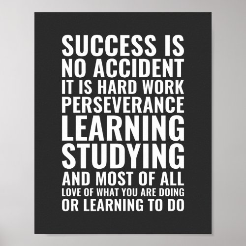 Success is no accident its hard work Motivational Poster