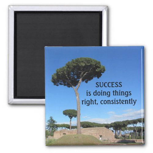 Success Motivational Magnet