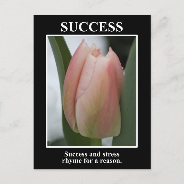 Success rhymes with stress for a reason postcard (Front)