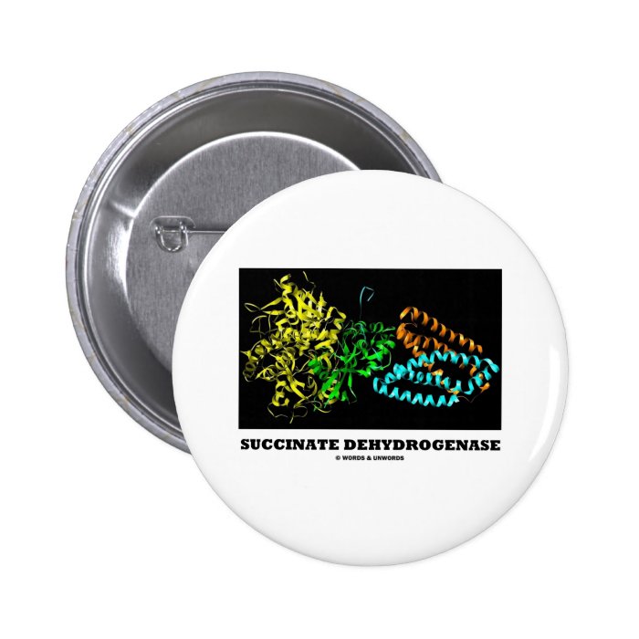 Succinate Dehydrogenase (Chemistry) Button