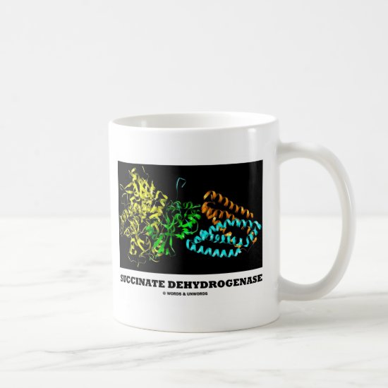 Succinate Dehydrogenase (Chemistry) Coffee Mug