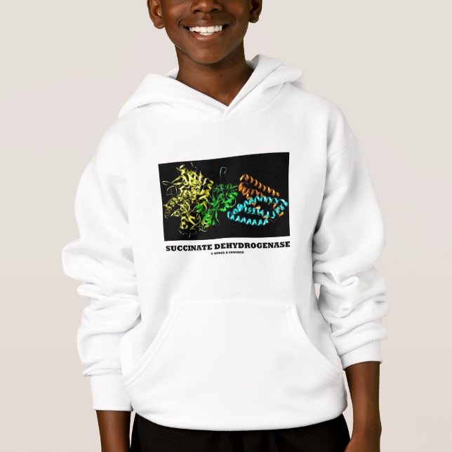 Succinate Dehydrogenase (Chemistry) Hoodie (Front)
