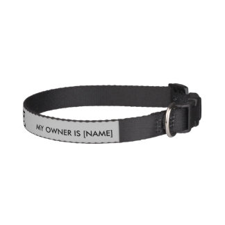 succinct dog collar