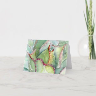 Succulent Agave shawii greeting card