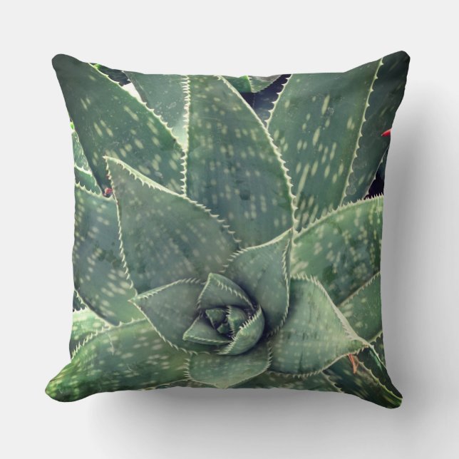 Succulent Aloe Plant Photography  Throw Pillow (Front)