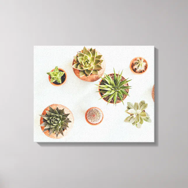 Succulent Artwork Canvas Print | Zazzle