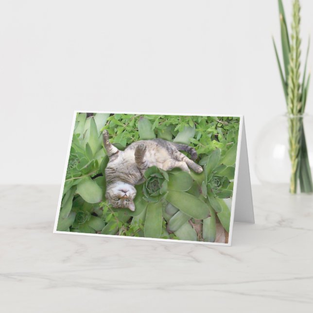 Succulent Backscratch Card (Front)