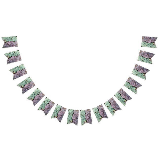 Succulent Banner (All)