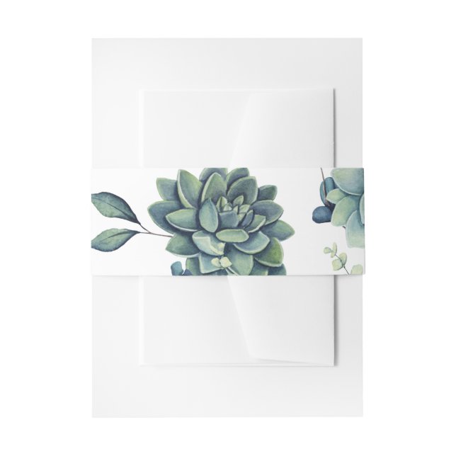 Succulent Belly Band (Front Example)