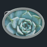 Succulent Belt Buckle<br><div class="desc">Rich with spiky texture,  this aqua,  seafoam green succulent is planted in a bed of tan pebbles.</div>