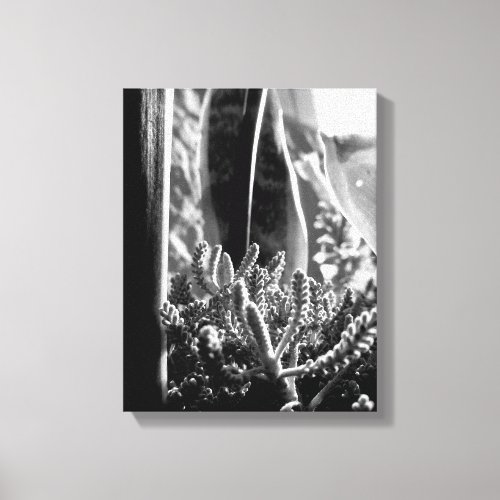 Succulent Black  White Wrapped Canvas Print