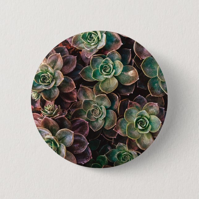 Succulent Button (Front)