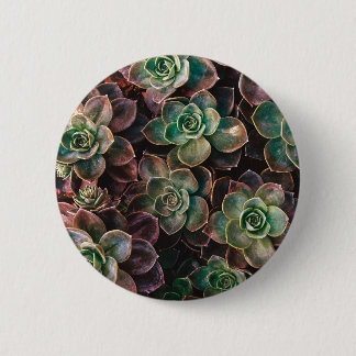 Succulent Button