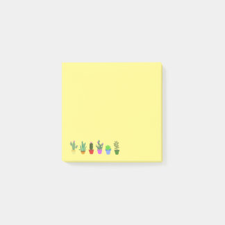 Succulent & Cacti Notes