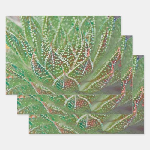 Succulent Cactus Plant Green Stained Glass Art Wrapping Paper Sheets