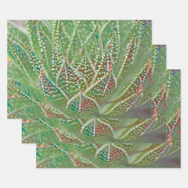 Succulent Cactus Plant Green Stained Glass Art Wrapping Paper Sheets (Set)