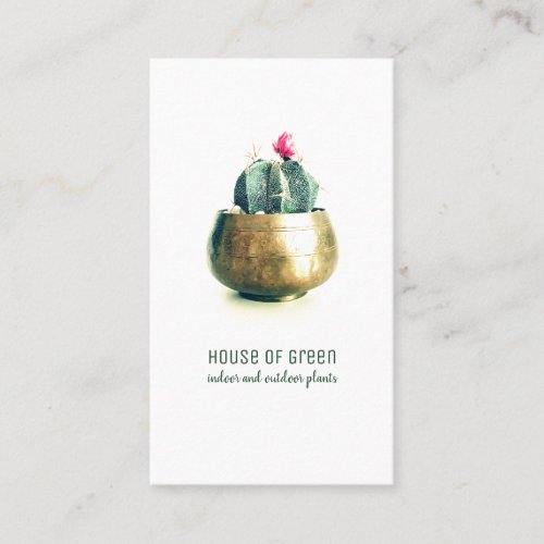 Succulent Cactus Plant Nursery Business Card