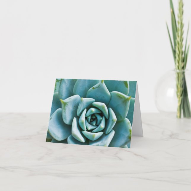 Succulent Card (Front)