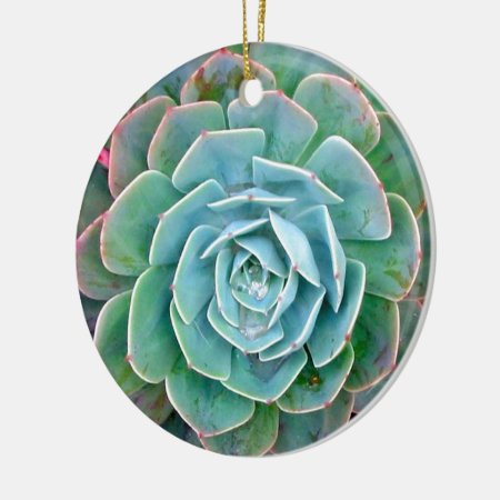 Succulent Ceramic Ornament