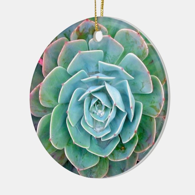 Succulent Ceramic Ornament (Left)