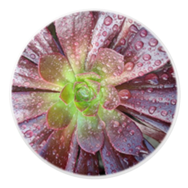 Succulent Ceramic Pull (Front)