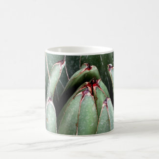 Succulent Close Up Photo Mug