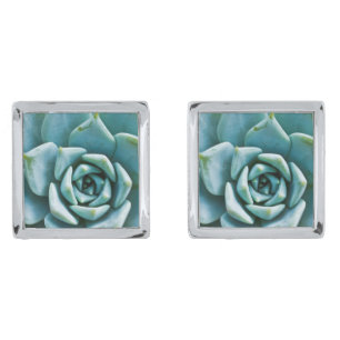 Succulent Closeup Cufflinks