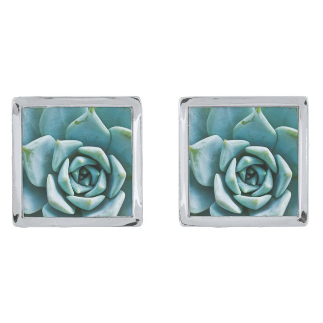 Succulent Closeup Cufflinks (Front)