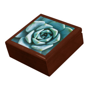 Succulent Closeup Jewelry Box