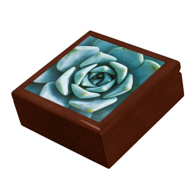 Succulent Closeup Jewelry Box (Side)