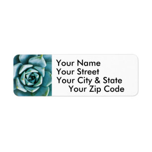 Succulent Closeup Label
