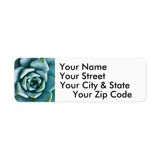 Succulent Closeup Label (Front)