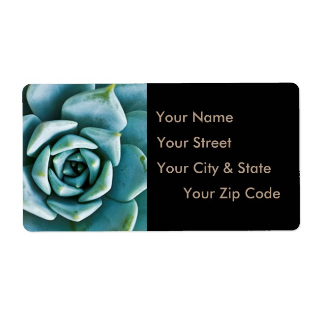 Succulent Closeup Label (Front)