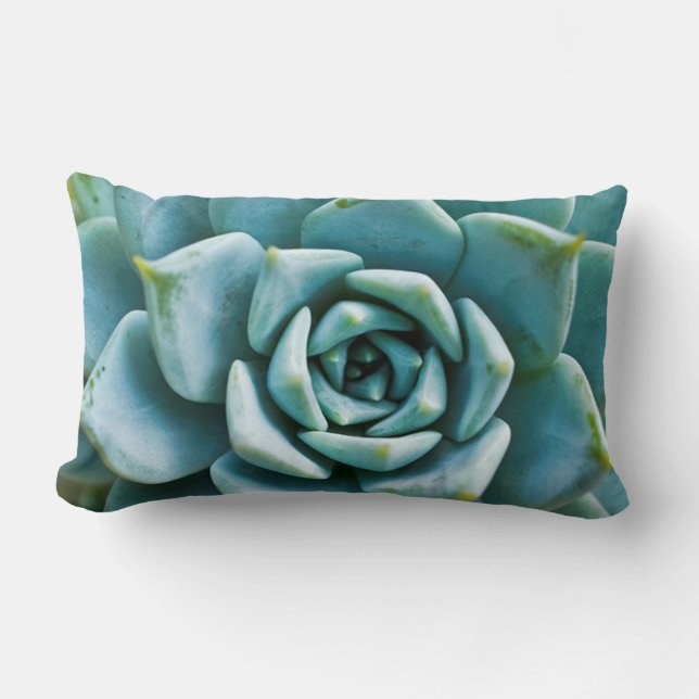 Succulent Closeup Lumbar Pillow (Front)