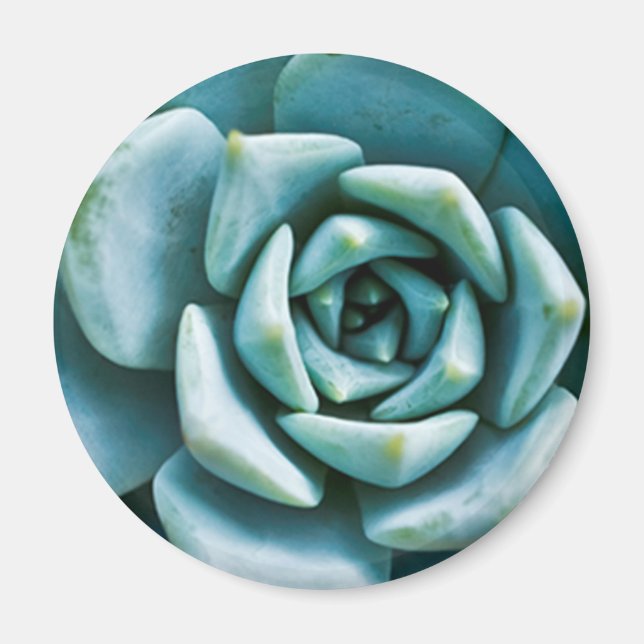 Succulent Closeup Magnet (Front)