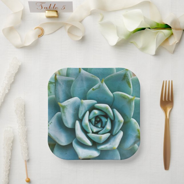 Succulent Closeup Paper Plates (Wedding)