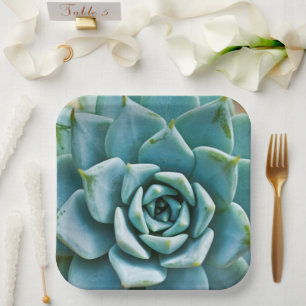 Succulent Closeup Paper Plates