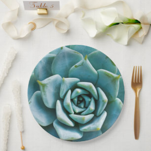 Succulent Closeup Paper Plates