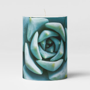 Succulent Closeup Pillar Candle