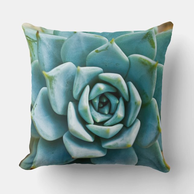 Succulent Closeup Throw Pillow (Front)