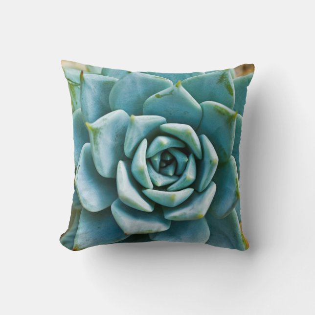 Succulent Closeup Throw Pillow (Front)