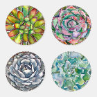 Succulent Coaster Set, Four Different Designs