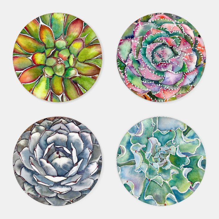 Succulent Coaster Set Four Different Designs Zazzle Com