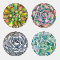 Succulent Coaster Set, Four Different Designs