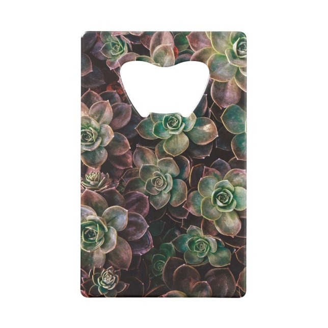 Succulent Credit Card Bottle Opener (Back)