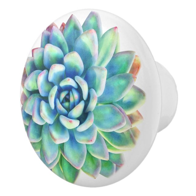 succulent decorative knob (Right)