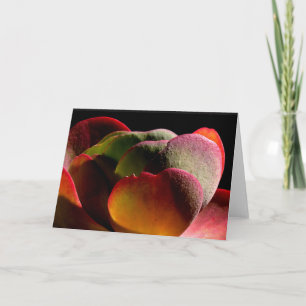 Succulent Desert Plant Card